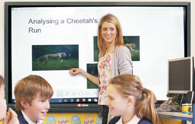 How much does a newline smartboard cost?